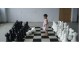 Шахматы гигантские
